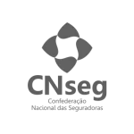 CNseg